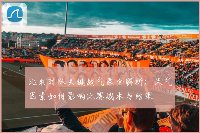 比利时队关键战气象全解析：天气因素如何影响比赛战术与结果